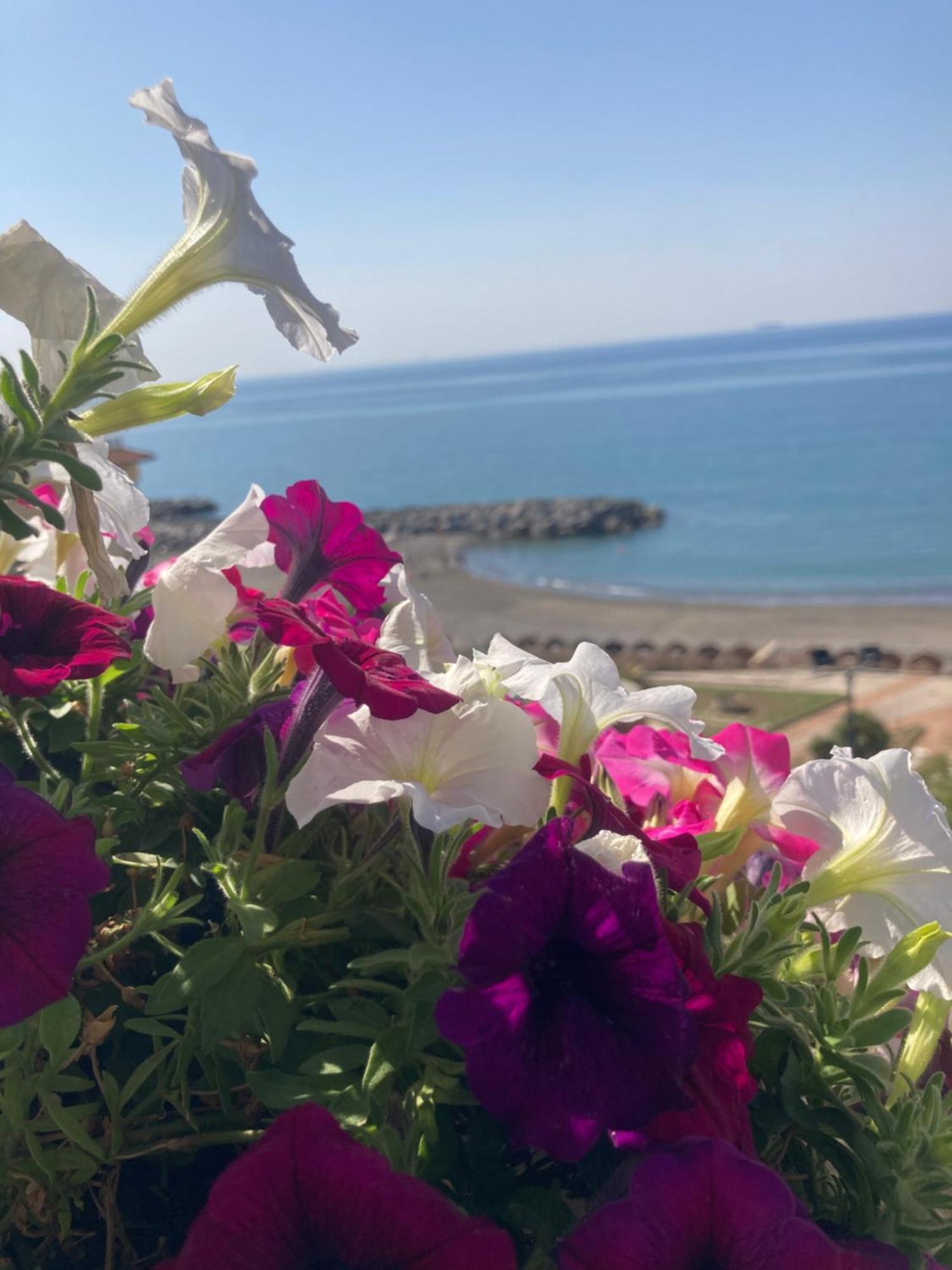 Viva La Nonna Apartment Salerno Bagian luar foto